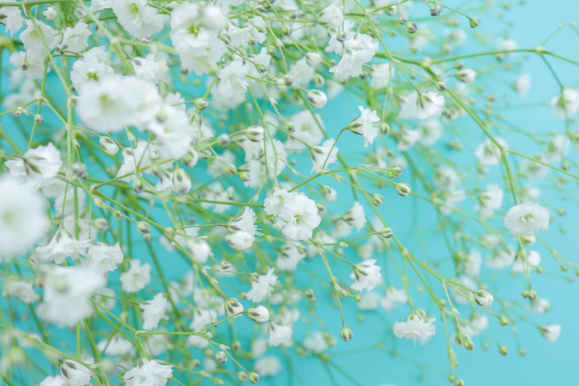 f:id:tsunagiki:20200706092937j:plain f:id:tsunagiki:20200706092937j:plain