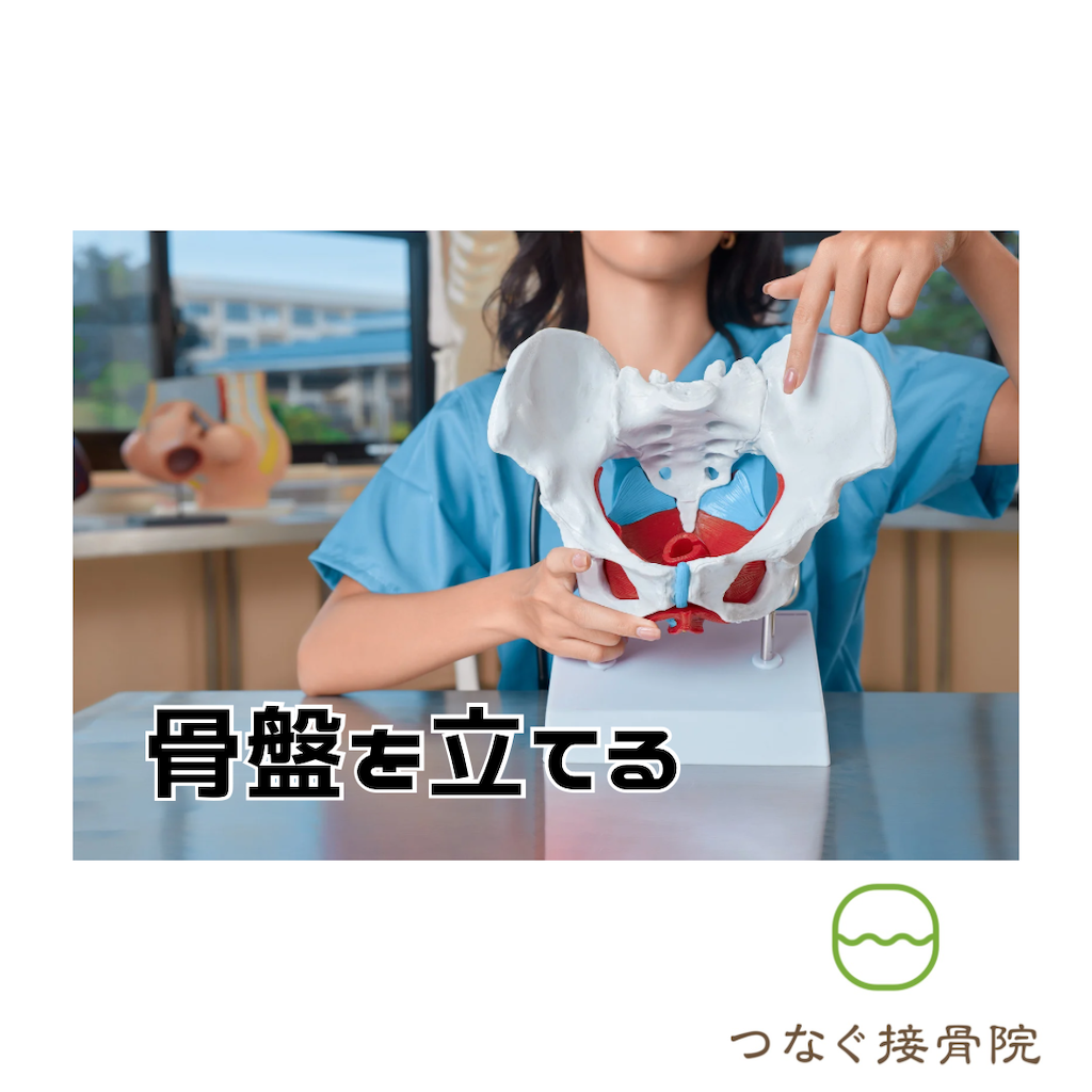 f:id:tsunagu-sekkotsuin:20240524153602p:image