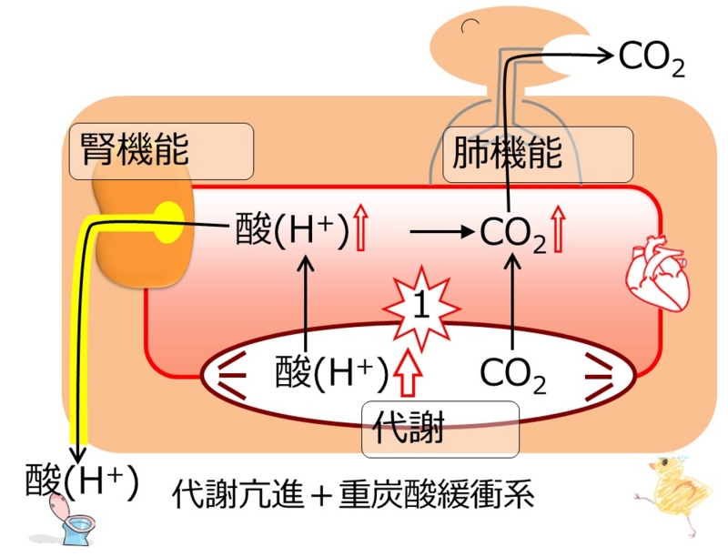 f:id:tsunepi:20140605152429j:plain
