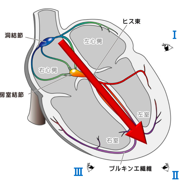 f:id:tsunepi:20160604181909p:plain