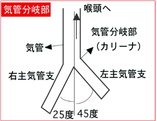 f:id:tsunepi:20160612094343p:plain f:id:tsunepi:20160612094343p:plain