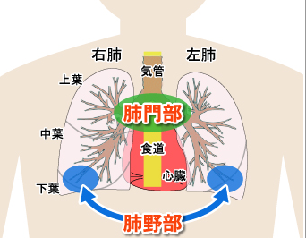 f:id:tsunepi:20160612163949p:plain