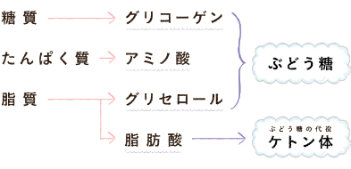ケトーシスとケトアシドーシス
