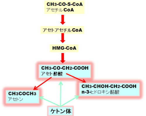 f:id:tsunepi:20160630132619p:plain f:id:tsunepi:20160630132619p:plain