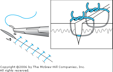 f:id:tsunepi:20160807050046p:plain