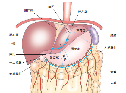 f:id:tsunepi:20160819224312p:plain f:id:tsunepi:20160819224312p:plain