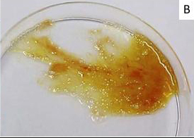 f:id:tsunepi:20160909204349p:plain