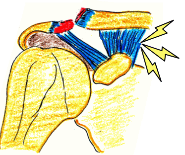 f:id:tsunepi:20161103094028p:plain