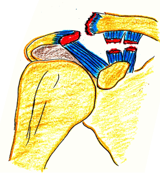 f:id:tsunepi:20161103094117p:plain