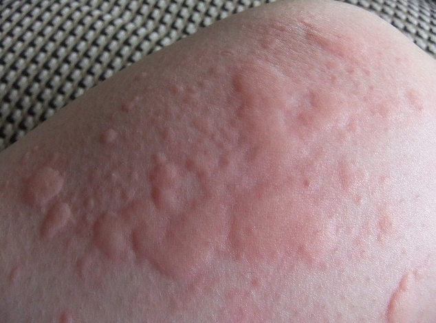 f:id:tsunepi:20161104212110p:plain