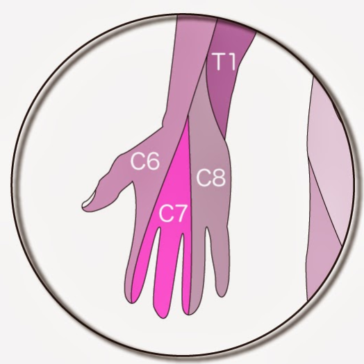 f:id:tsunepi:20161120170757p:plain