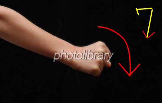 f:id:tsunepi:20161120174128p:plain