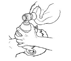 f:id:tsunepi:20161231150924p:plain f:id:tsunepi:20161231150924p:plain