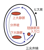 f:id:tsunepi:20170401124900p:plain