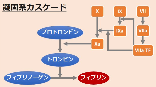 f:id:tsunepi:20170504092213p:plain