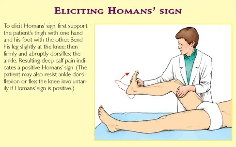 f:id:tsunepi:20170609190306p:plain f:id:tsunepi:20170609190306p:plain