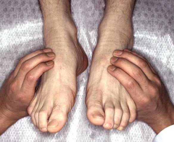 f:id:tsunepi:20170618123334p:plain f:id:tsunepi:20170618123334p:plain