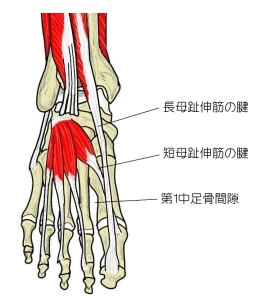 f:id:tsunepi:20170618123659p:plain f:id:tsunepi:20170618123659p:plain