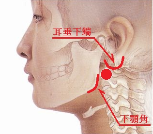 f:id:tsunepi:20170619175408p:plain f:id:tsunepi:20170619175408p:plain