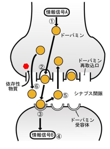 f:id:tsunepi:20170703183319p:plain