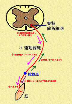 f:id:tsunepi:20170715144129p:plain