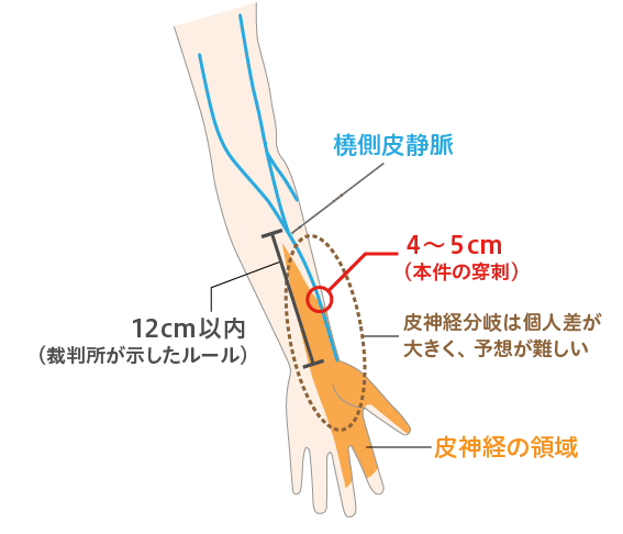 f:id:tsunepi:20170727220817p:plain f:id:tsunepi:20170727220817p:plain