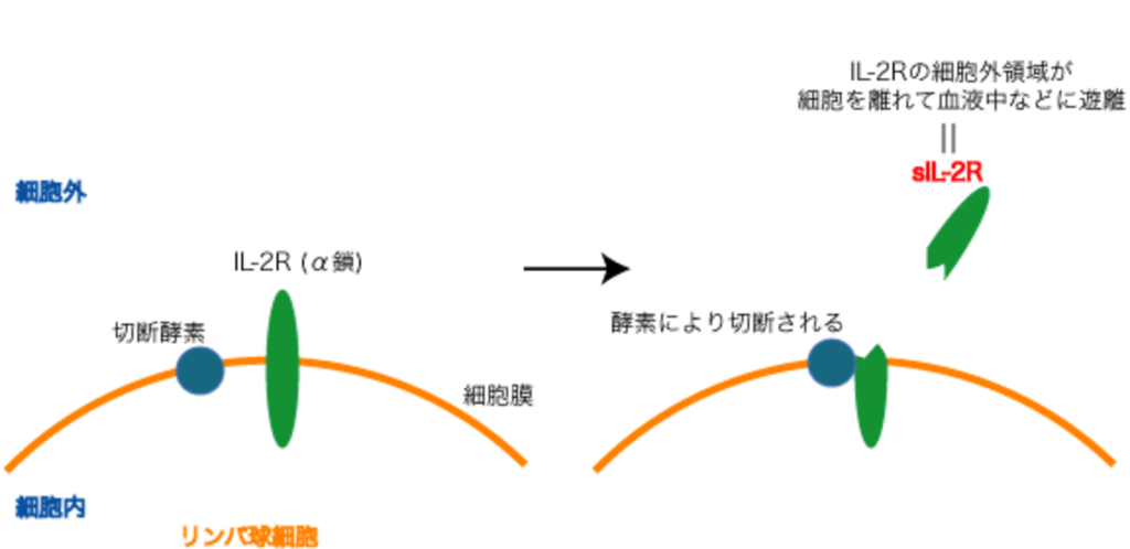 f:id:tsunepi:20171008183505p:plain