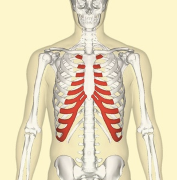 f:id:tsunepi:20171112092804p:plain