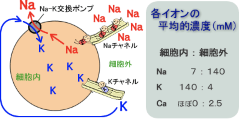 f:id:tsunepi:20180103094013p:plain