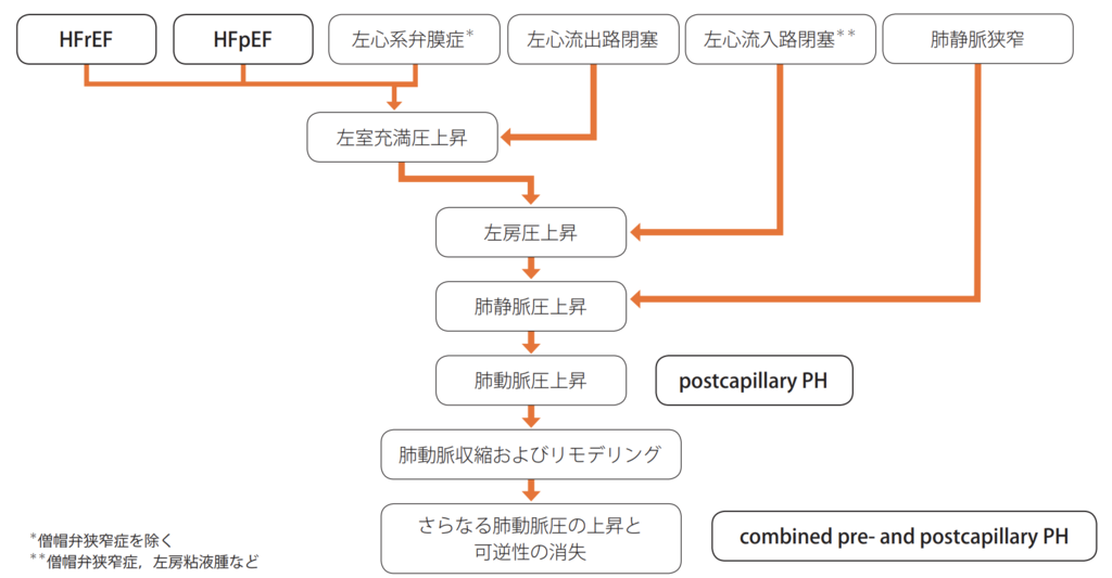 f:id:tsunepi:20190211173007p:plain f:id:tsunepi:20190211173007p:plain