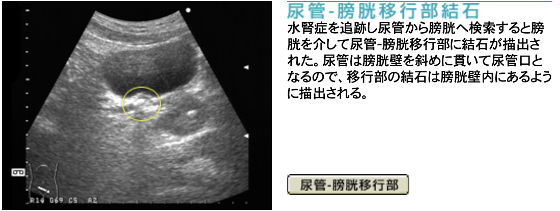 結論