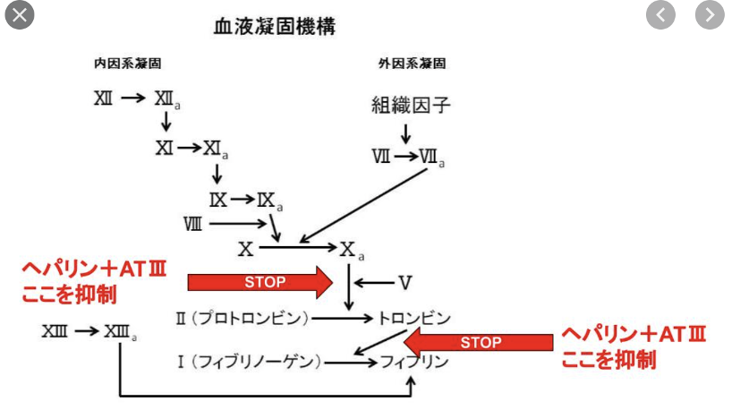 f:id:tsunepi:20210216101818p:plain