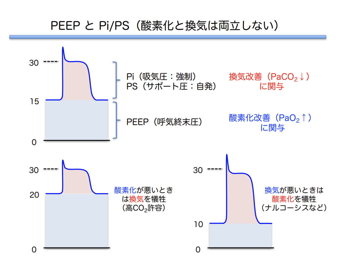 f:id:tsunepi:20210816213426p:plain