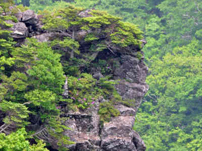 f:id:tsunesan:20090616075148j:image