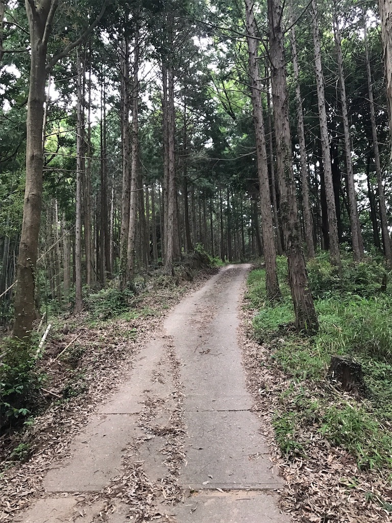 f:id:tsuneyoshix:20200114235723j:image