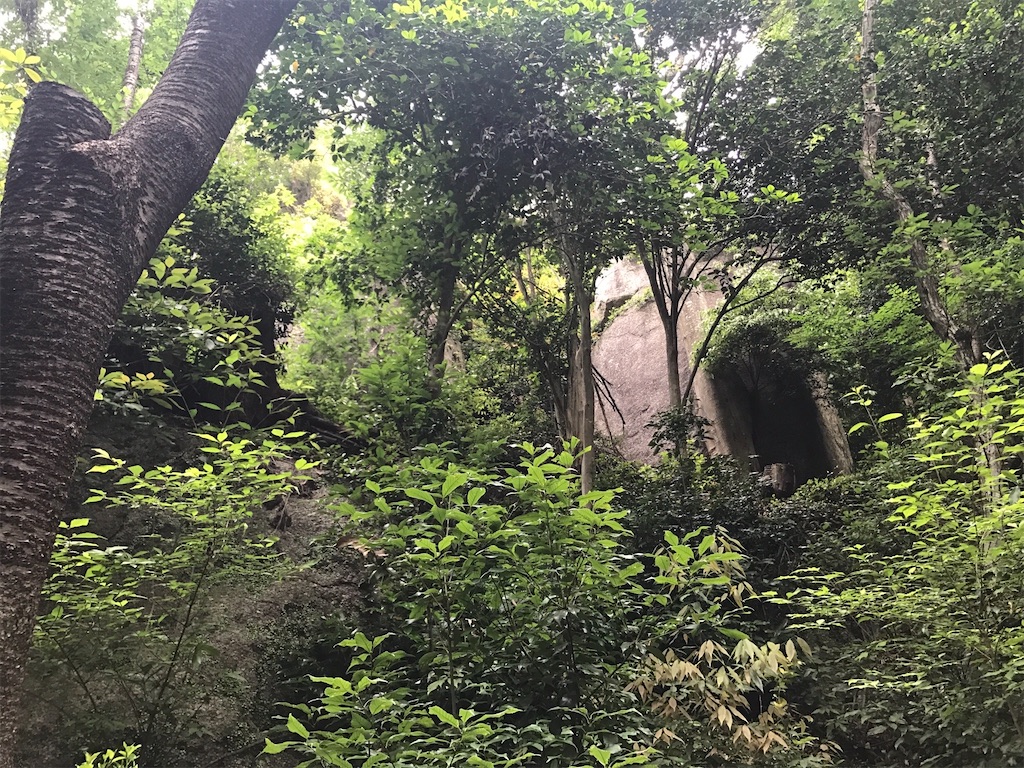 f:id:tsuneyoshix:20200114235748j:image