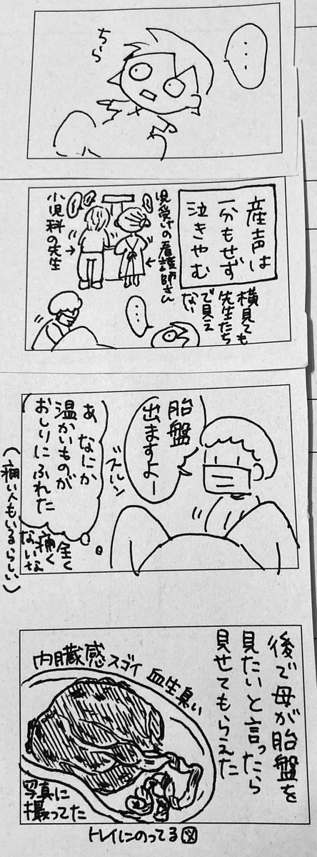 f:id:tsungorou:20200824010200j:plain f:id:tsungorou:20200824010200j:plain