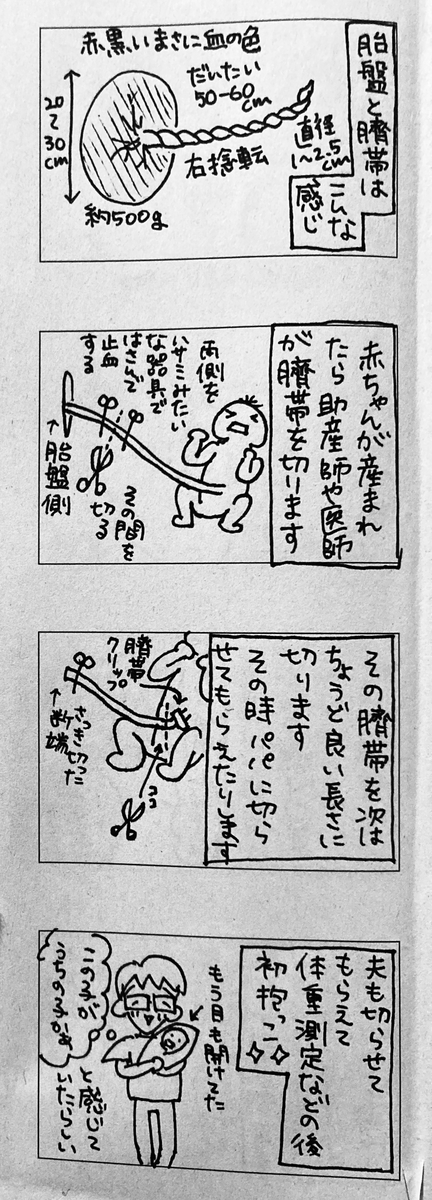 f:id:tsungorou:20200824010221j:plain f:id:tsungorou:20200824010221j:plain