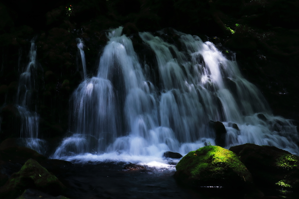 f:id:tsuntsun3:20210722115424j:plain