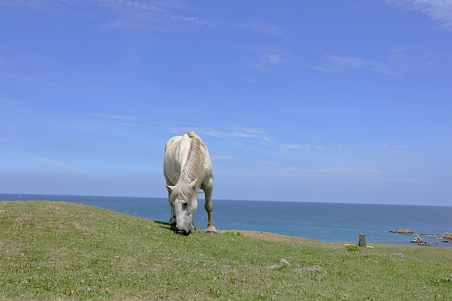 f:id:tsuntsun3:20210820085127j:plain