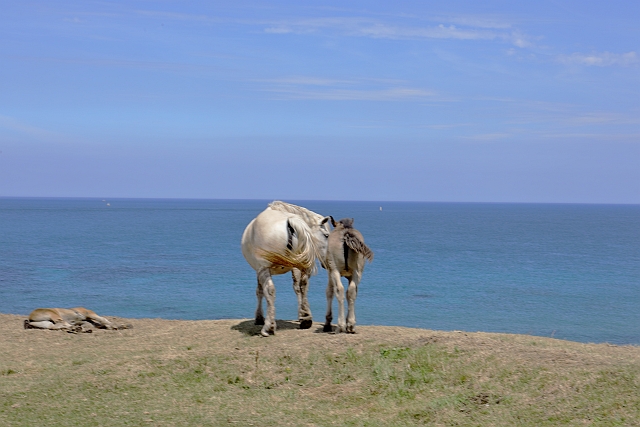 f:id:tsuntsun3:20210820085136j:plain