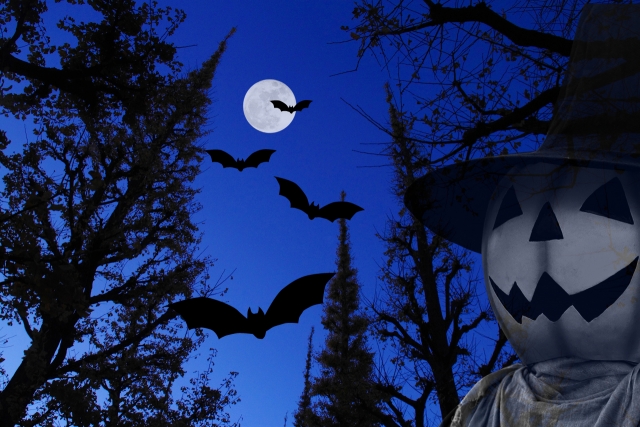ハロウィンだけじゃない 吉祥紋様の蝙蝠（こうもり） - 着物好き