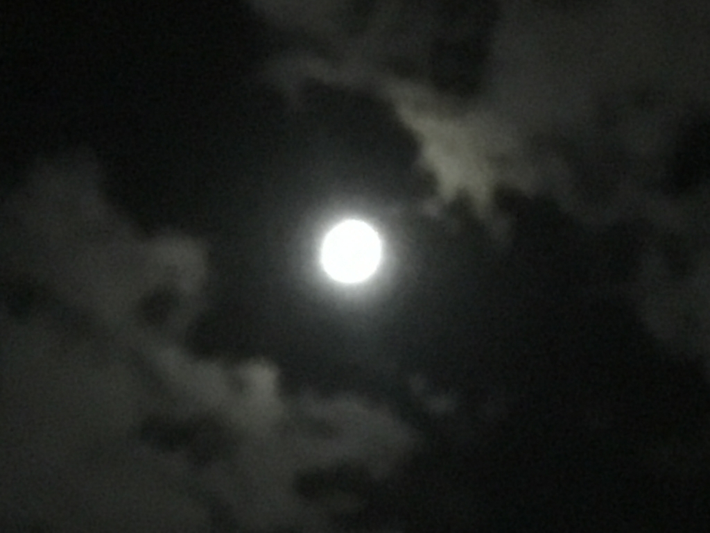 f:id:tsuputon7:20171014165004j:plain