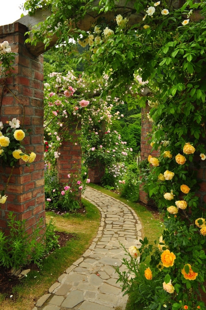 f:id:tsuputon7:20171119121945j:plain