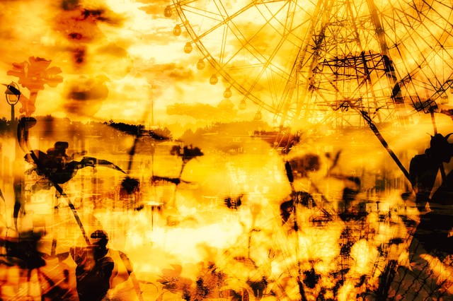 英語の名言 恋は影のごとく逃げていく たくさんの恋が追いかけても シェークスピア Tsuputon S Blog