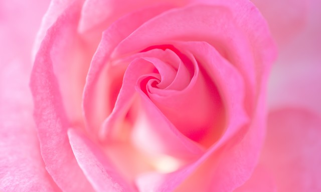 f:id:tsuputon7:20171215112825j:plain