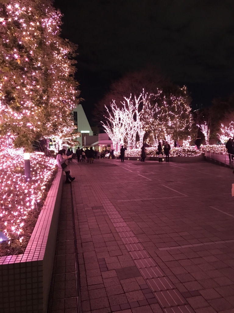 f:id:tsuputon7:20171227093742j:plain f:id:tsuputon7:20171227093742j:plain