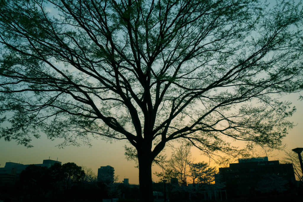 f:id:tsuputon7:20180130234450j:plain