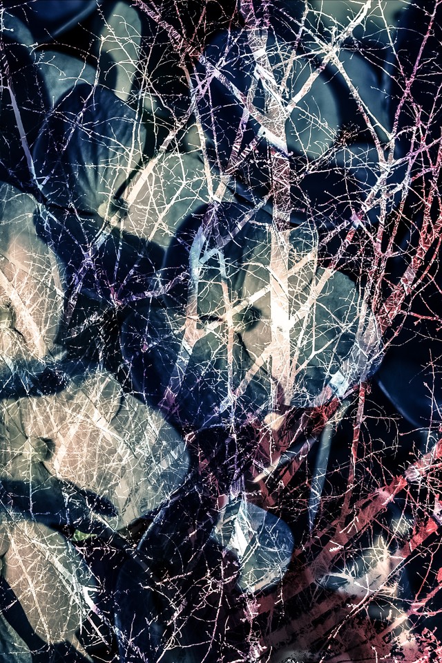 f:id:tsuputon7:20180220133215j:plain