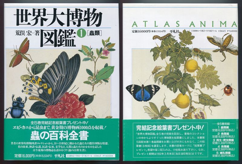 f:id:tsuputon7:20180509091426j:plain